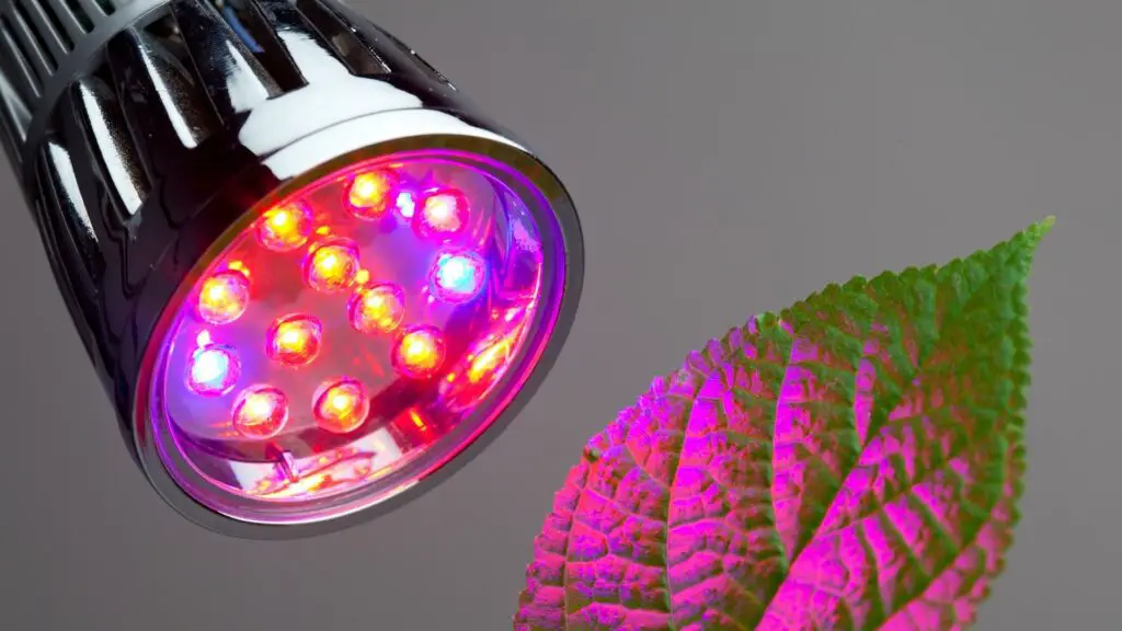 LED grow light bulbs for hydroponics