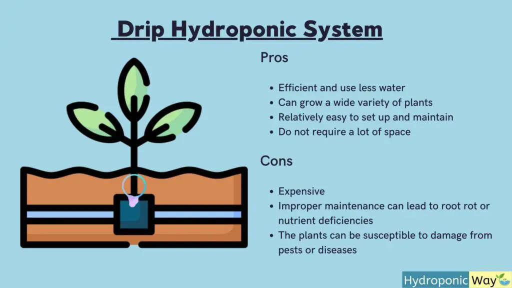 pros and cons of drip hydroponic system
