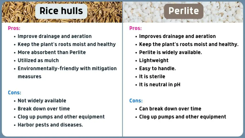 Rice hulls vs perlite comparison