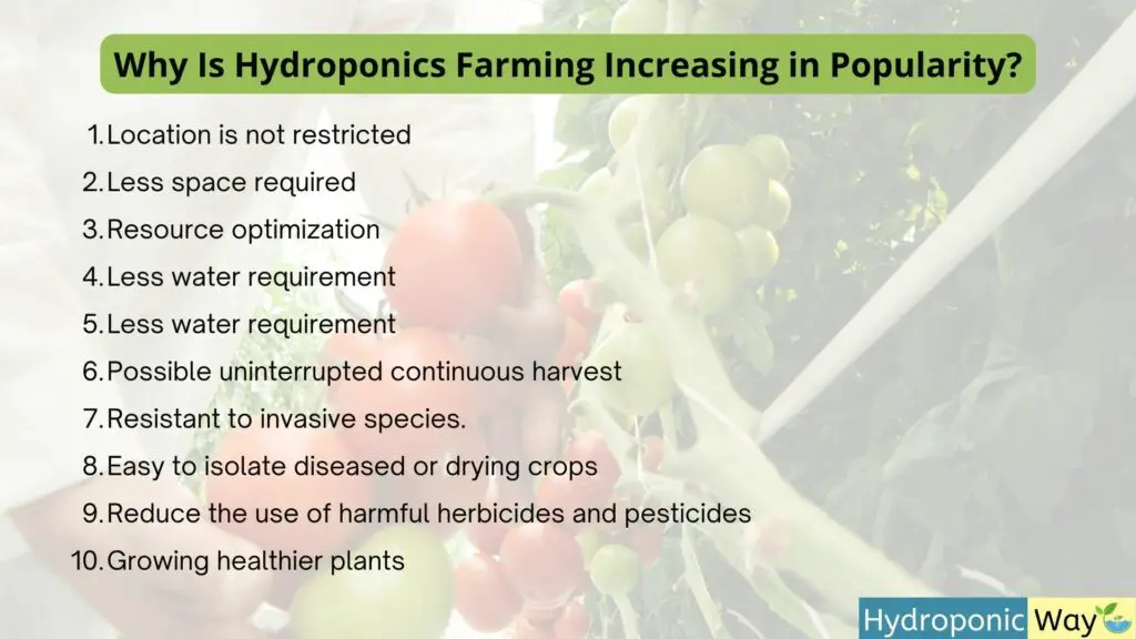 Why hydroponics increasing in popularity
