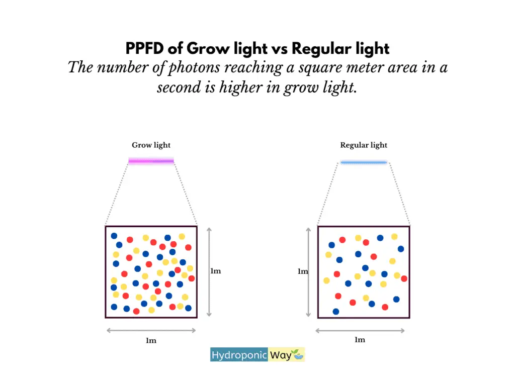 An illustration of high PPFD in grow light than regular light.