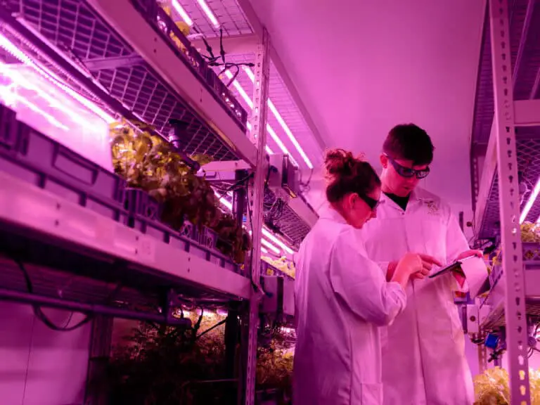 Grow lights can be safe in general. But prolong exposure may cause you harm.